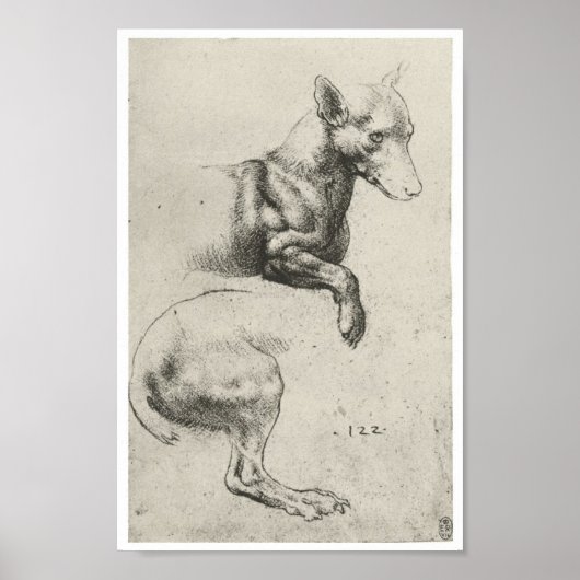 Study of a Dog, Leonardo Da Vinci ポスター (正面)