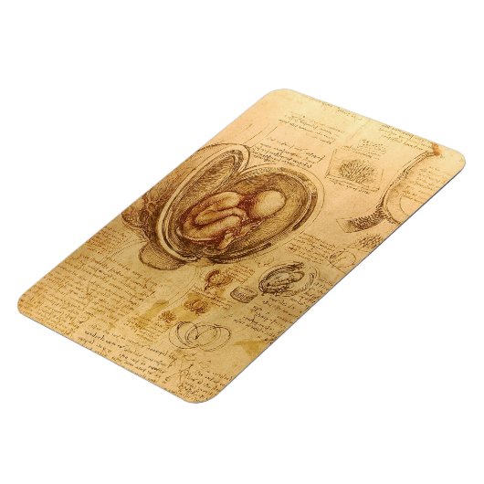 Study of baby fetus by Leonardo da Vinci マグネット (左側)