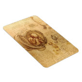 Study of baby fetus by Leonardo da Vinci マグネット (右側)