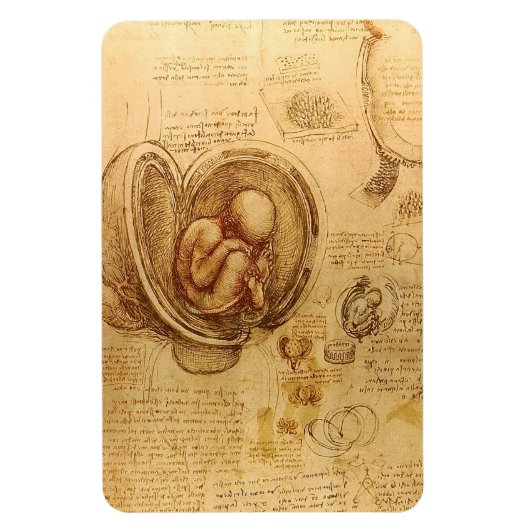 Study of baby fetus by Leonardo da Vinci マグネット (縦)