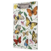 Study of diurnal butterflies by Paul Gervais クリップボード (左)