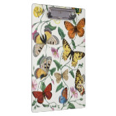 Study of diurnal butterflies by Paul Gervais クリップボード (右)