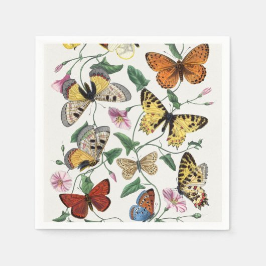 Study of diurnal butterflies by Paul Gervais スタンダードカクテルナプキン (正面)