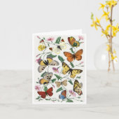 Study of diurnal butterflies by Paul Gervais Brief カード (黄色い花)