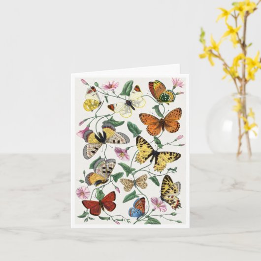 Study of diurnal butterflies by Paul Gervais Brief カード (黄色い花)