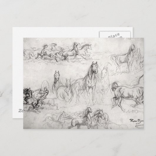 Study of Horses ポストカード (正面/裏面)