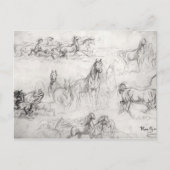 Study of Horses ポストカード (正面)