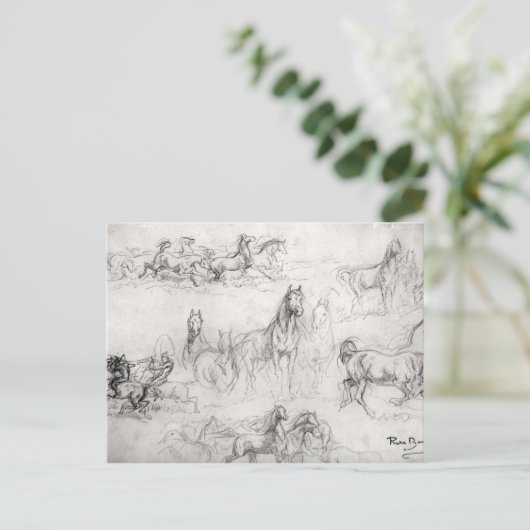 Study of Horses ポストカード (スタンド正面)