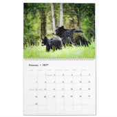 Stunning Bear Wildlife Watercolor Paintings Art Ca カレンダー (2月 2027)