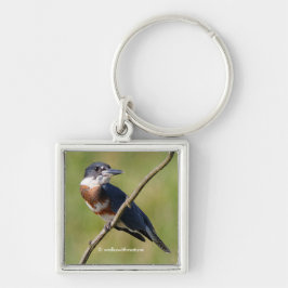 Stunning Belted Kingfisher Bird on a Limb キーホルダー