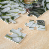 Stunning Closeup Dwarf Korean Fir ジグソーパズル (側面)