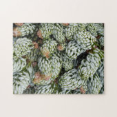 Stunning Closeup Dwarf Korean Fir ジグソーパズル (横)