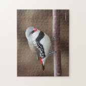 Stunning Diamond Firetail Finch ジグソーパズル (縦)