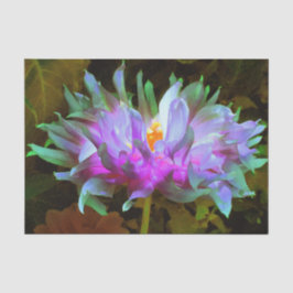 Stunning Magenta and Lime Green Cactus Dahlia 薄葉紙