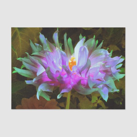 Stunning Magenta and Lime Green Cactus Dahlia 薄葉紙 (正面)