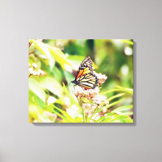 Stunning Nature & Butterfly Art Foam Board キャンバスプリント (正面)