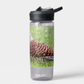 Stunning Northern Flicker Foraging in the Grass ウォーターボトル (左面)