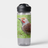 Stunning Northern Flicker Foraging in the Grass ウォーターボトル (正面)