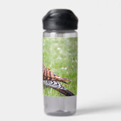 Stunning Northern Flicker Foraging in the Grass ウォーターボトル (背面)