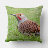 Stunning Northern Flicker Foraging in the Grass クッション (正面)