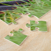 Stunning Northern Flicker Foraging in the Grass ジグソーパズル (側面)