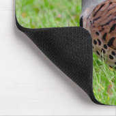 Stunning Northern Flicker Foraging in the Grass マウスパッド (コーナー)