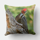 Stunning Portrait of Pileated Woodpecker in Tree クッション (裏面)