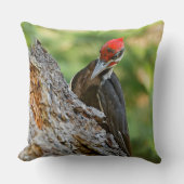 Stunning Portrait of Pileated Woodpecker in Tree クッション (正面)