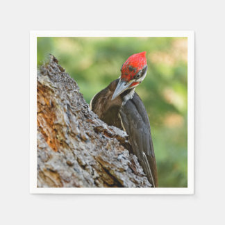 Stunning Portrait of Pileated Woodpecker on Tree スタンダードカクテルナプキン