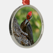 Stunning Portrait of Pileated Woodpecker on Tree メタルオーナメント (右)