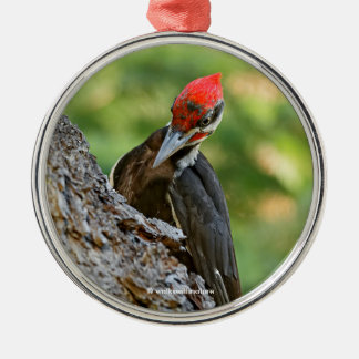 Stunning Portrait of Pileated Woodpecker on Tree メタルオーナメント