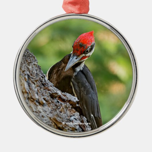 Stunning Portrait of Pileated Woodpecker on Tree メタルオーナメント (正面)