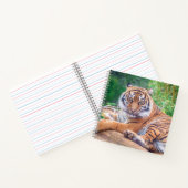 Stunning Reclining Tiger Photograph ノートブック (内部)
