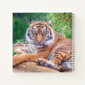 Stunning Reclining Tiger Photograph ノートブック (裏面)