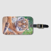 Stunning Reclining Tiger Photograph ラゲッジタグ (正面横)