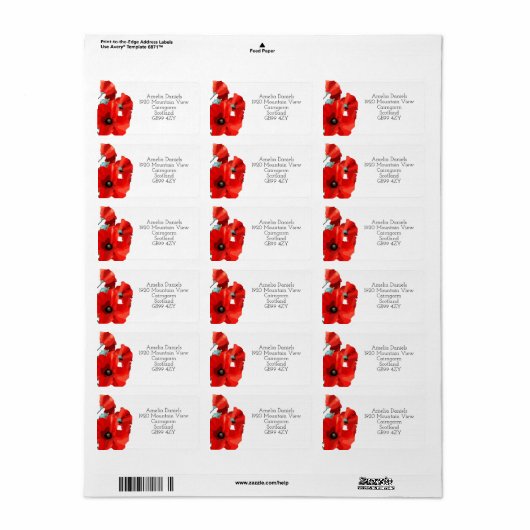 Stunning Red Poppy Return Address ラベル (フルシート)