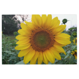 Stunning Sunflower Metal Wall Decor 36x24 Size メタルプリント