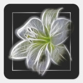 Stunning White Lily Fractal Art Black スクエアシール (正面)