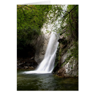 Sturdevantはカリフォルニア下ります