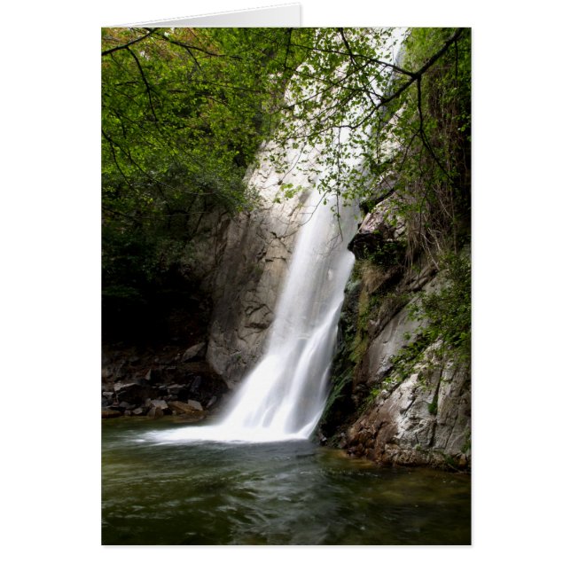 Sturdevantはカリフォルニア下ります (正面)