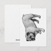 Sturdy Dot Welcome 招待状 (正面/裏面)