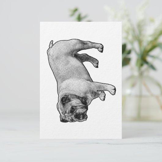 Sturdy Dot Welcome 招待状 (スタンド正面)