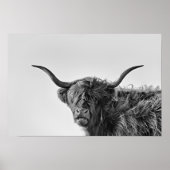 Sturdy highland cow in monochrome ポスター (正面)