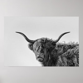 Sturdy highland cow in monochrome ポスター