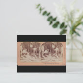 Sturgeonポストカード – StereoTypeロシア ポストカード (スタンド正面)