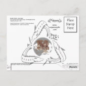 Sturgeonポストカード – StereoTypeロシア ポストカード (裏面)