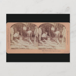 Sturgeonポストカード – StereoTypeロシア ポストカード