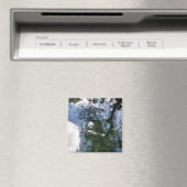 Sturgeon Pondマグネットでの反射 マグネット (インサイチュ (食洗機))