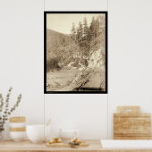 Sturgis SD 1888へのデッドウッド道路の風景 ポスター (キッチン)