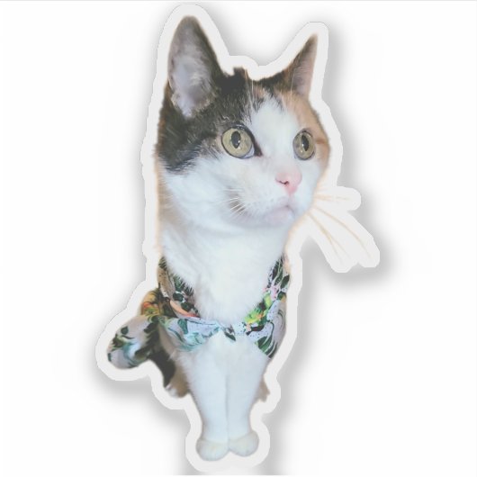 Stylish Cat Funny Sticker シール (正面)